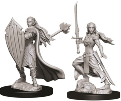 Elf Paladin - Female 73706 - D&D Nolzurs Marvelous Miniatures
